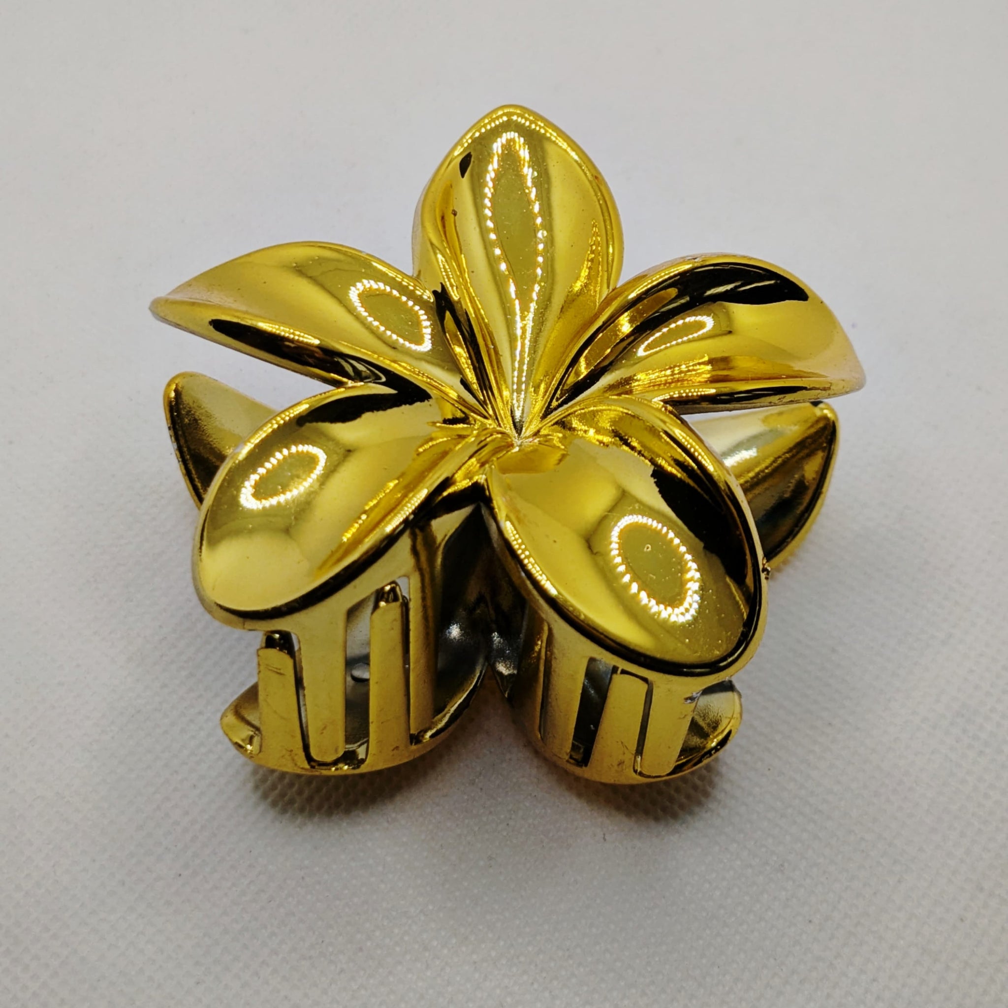 Radiant Flora Hair Claw Clip